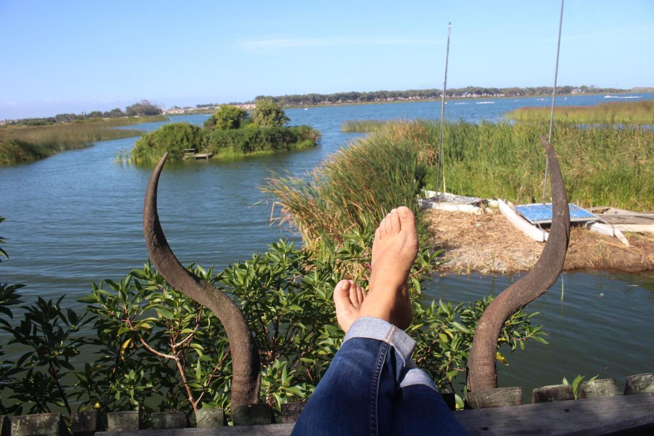 Nature'S Rest Cape Town Ngoại thất bức ảnh