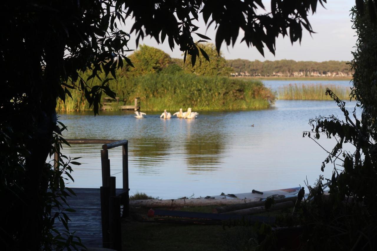 Nature'S Rest Cape Town Ngoại thất bức ảnh